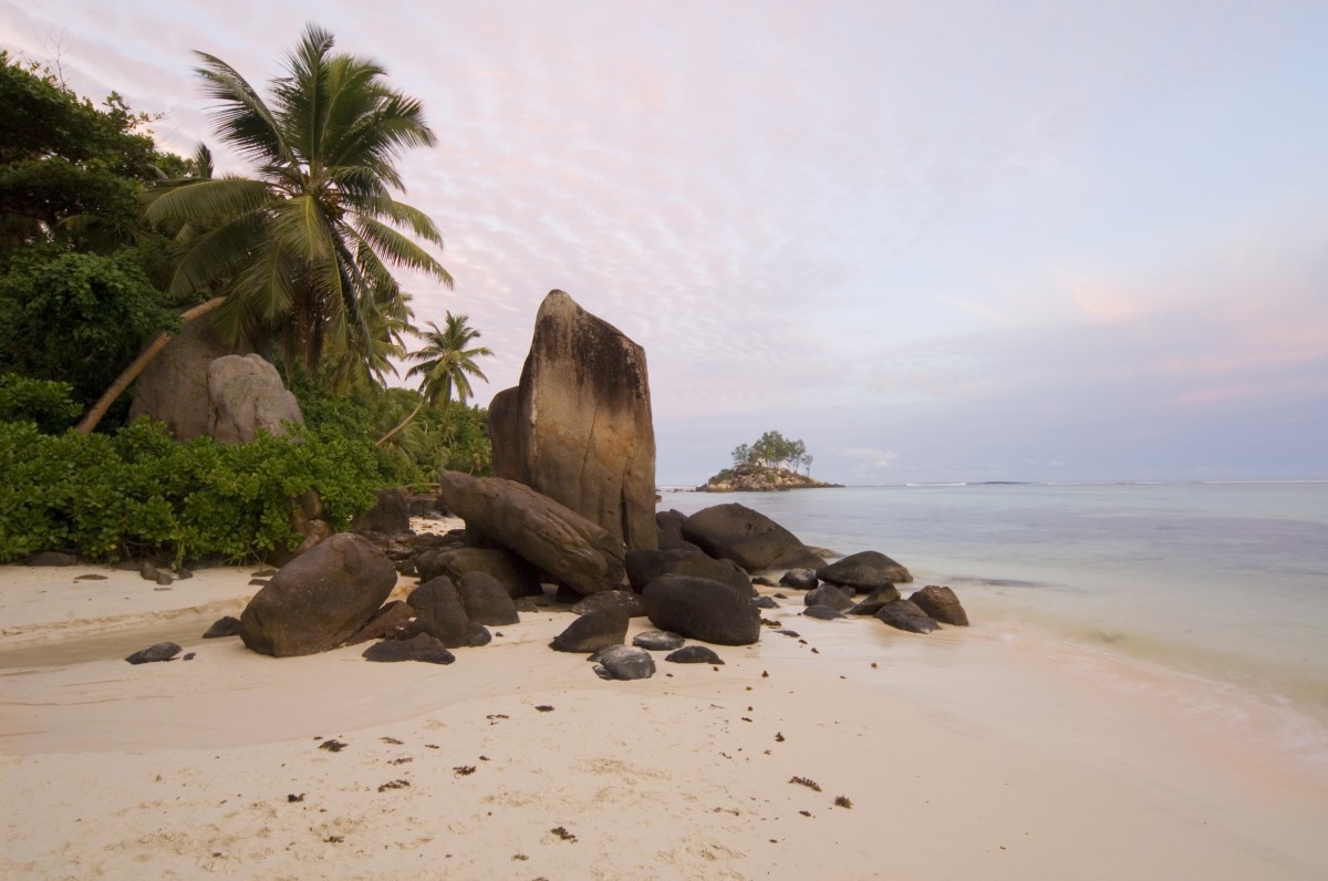 Combiné Cocos